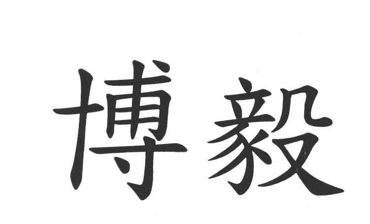 博毅