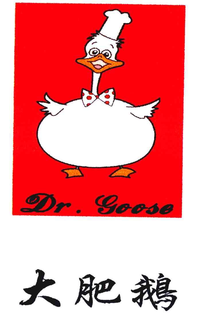 大肥鹅 dr.goose