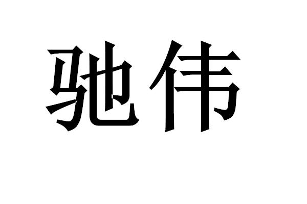 驰伟