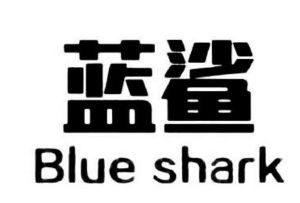 蓝鲨;blue shark