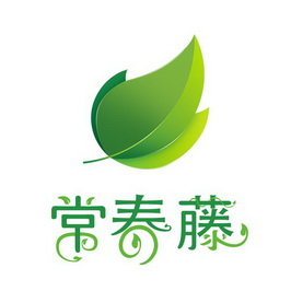 合肥常春藤移动科技有限公司