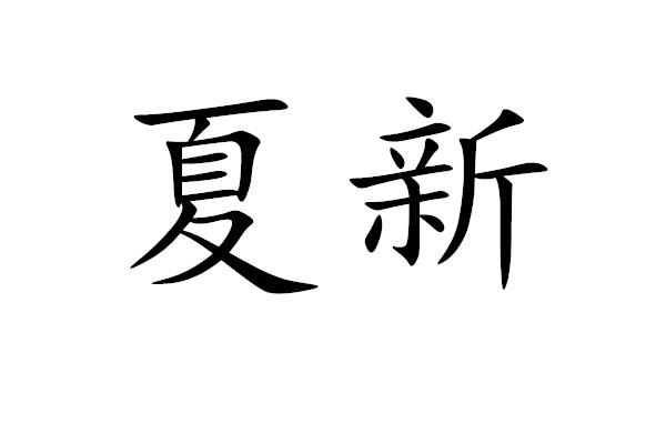 夏新_注册号23028006_商标注册查询 天眼查