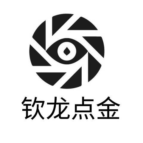 钦龙点金