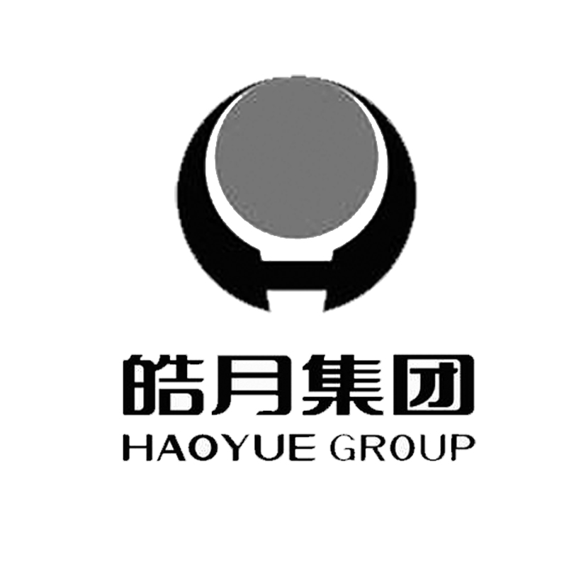 皓月集团 haoyue group