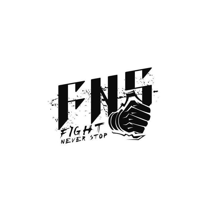 fns fight never stop