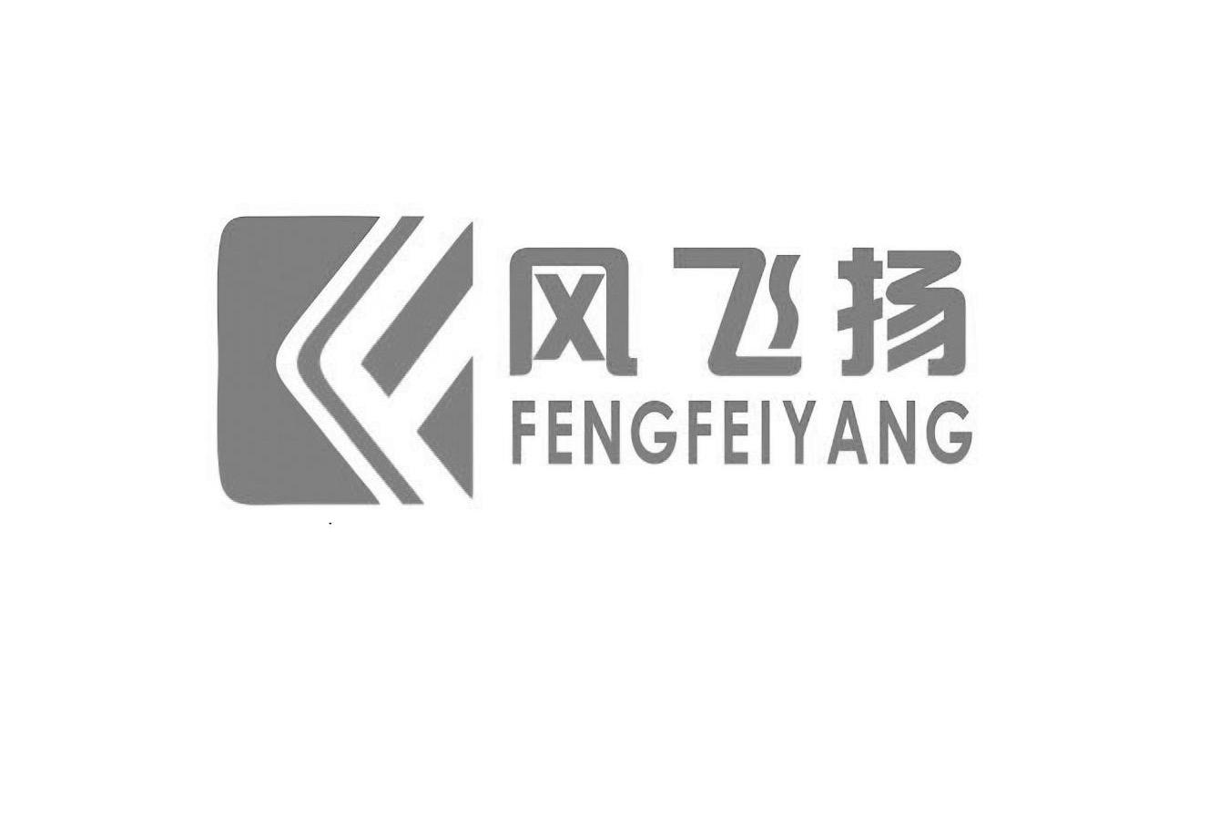 风飞扬