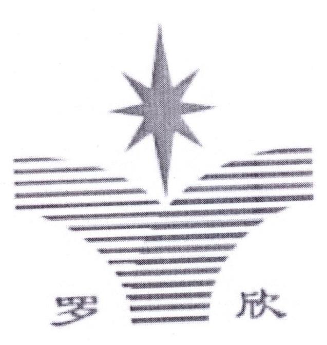 罗欣