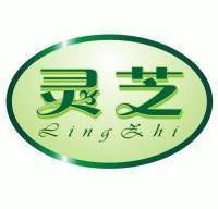 湖北灵芝家具股份有限公司