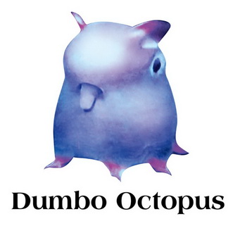 dumbo octopus