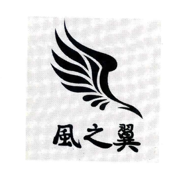 风之翼