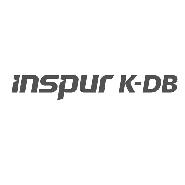 inspur k-db