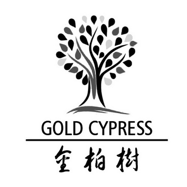 金柏树goldcypress