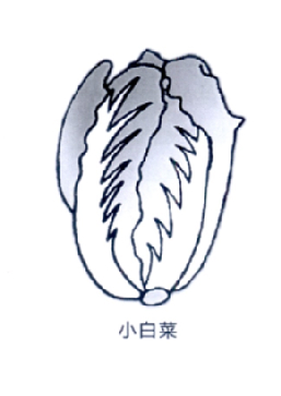 广州以斯帖网络科技发展有限公司_【信用信息