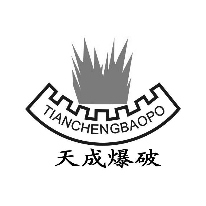 崇阳县天成工程爆破有限责任公司