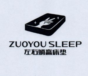 左右躺赢床垫  ZUOYOU SLEEP