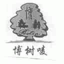博树