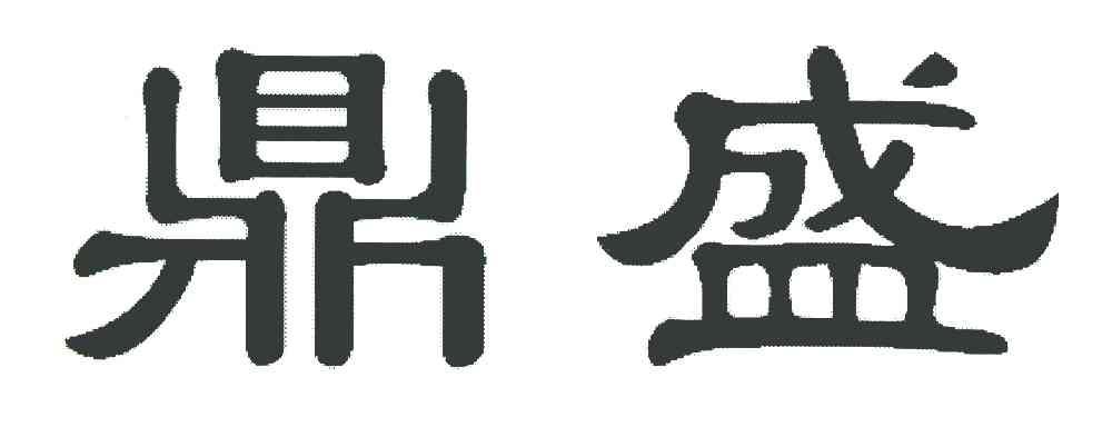 辽宁鼎盛保险股份有限公司 北京鼎盛保险经纪公司官网