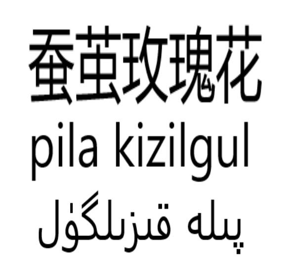 蚕茧玫瑰花pilakizilgul