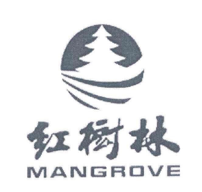 红树林;mangrove