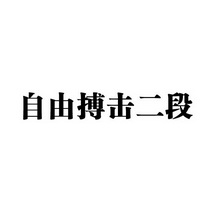 自由搏击二段