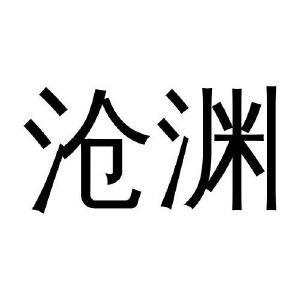 沧渊_注册号46458679_商标注册查询 天眼查