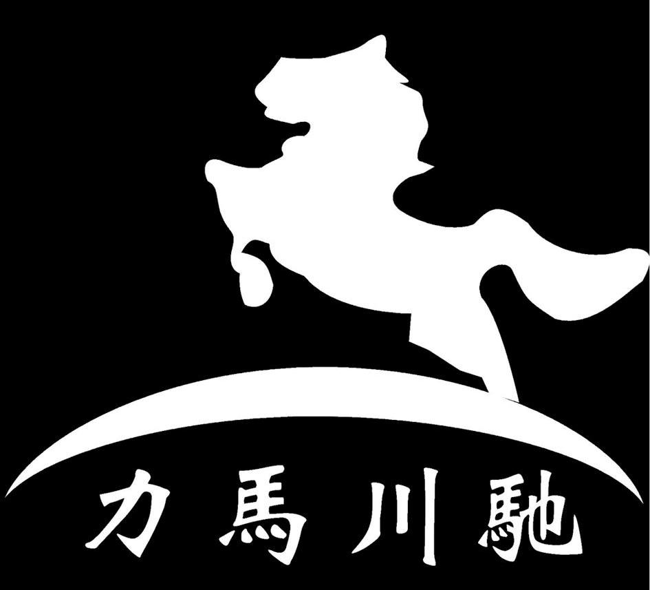 四川力马勇康车业有限公司