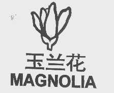 玉兰花 magnolia