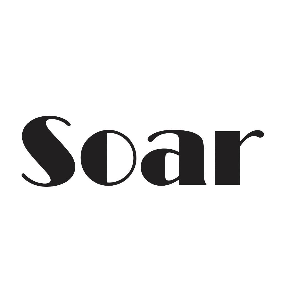 soar_注册号6183497_商标注册查询 - 天眼查