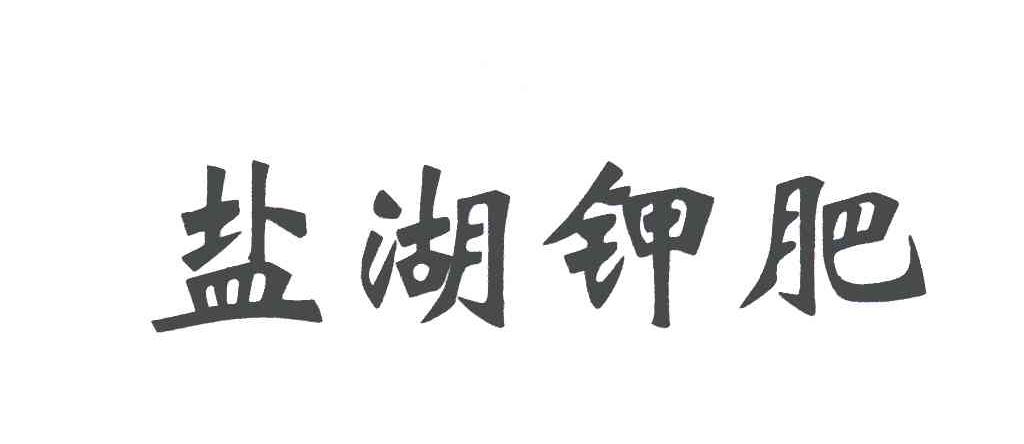 青海盐湖钾肥股份有限公司