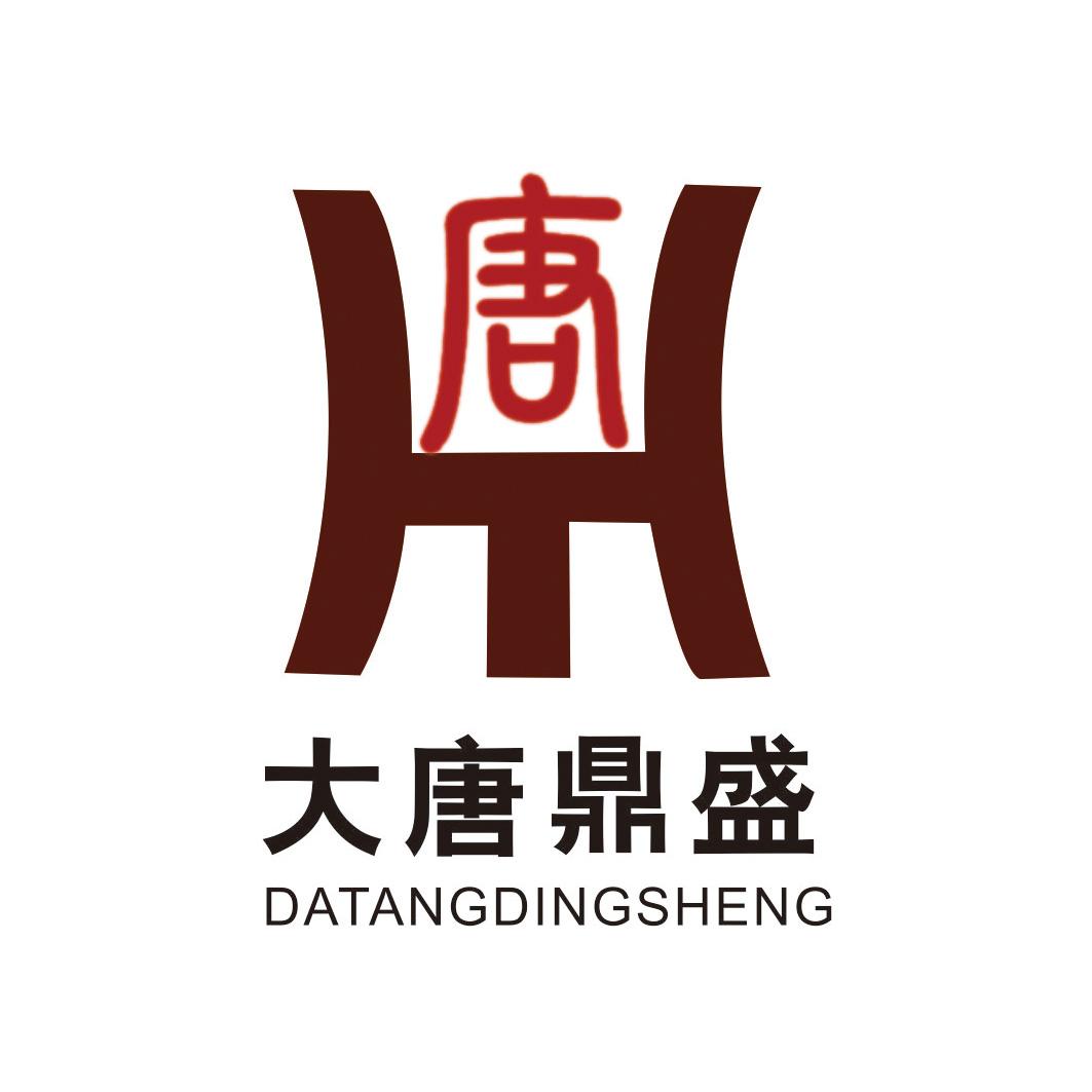 深圳大唐鼎盛技术有限公司