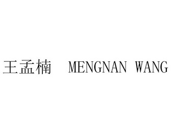 王孟楠 mengnan wang