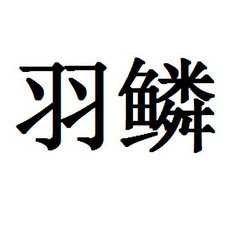 羽鳞