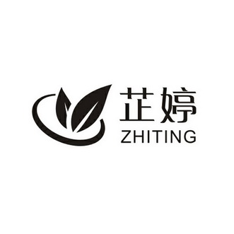 芷婷