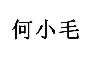 何小毛