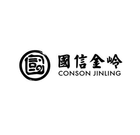 青岛国信金融信息服务有限公司
