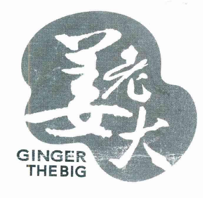 姜老大 ginger the big