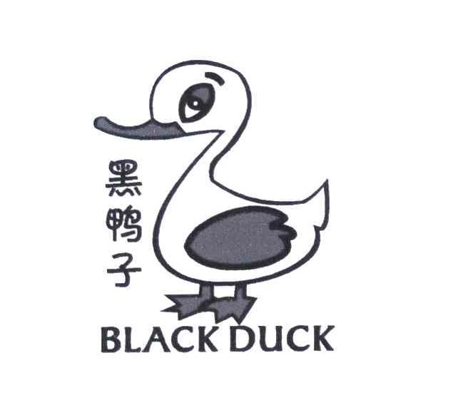 黑鸭子;blackduck