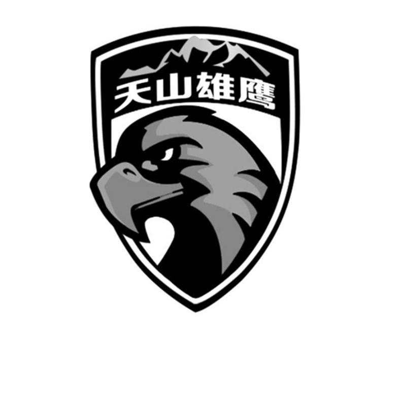 天山雄鹰