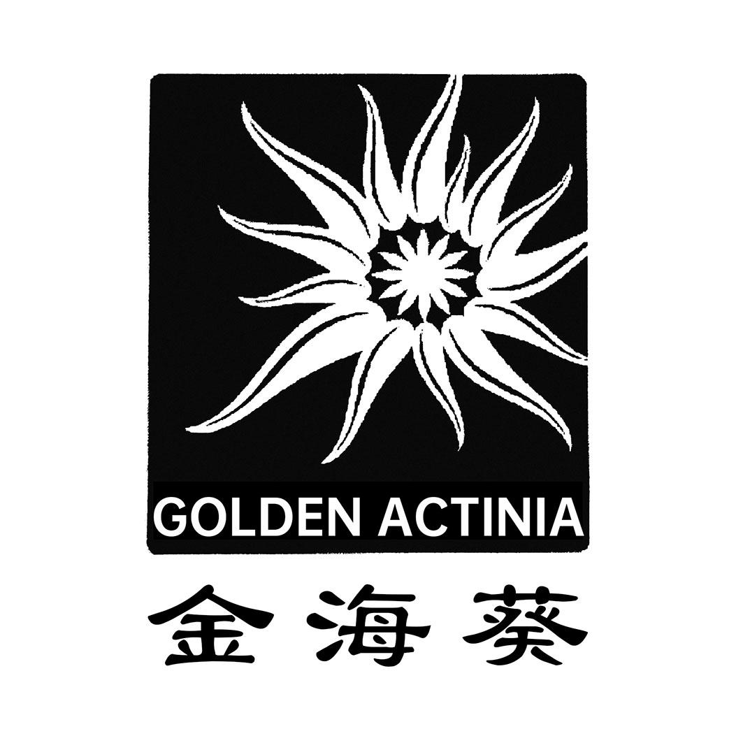 金海葵 GOLDEN ACTINIA