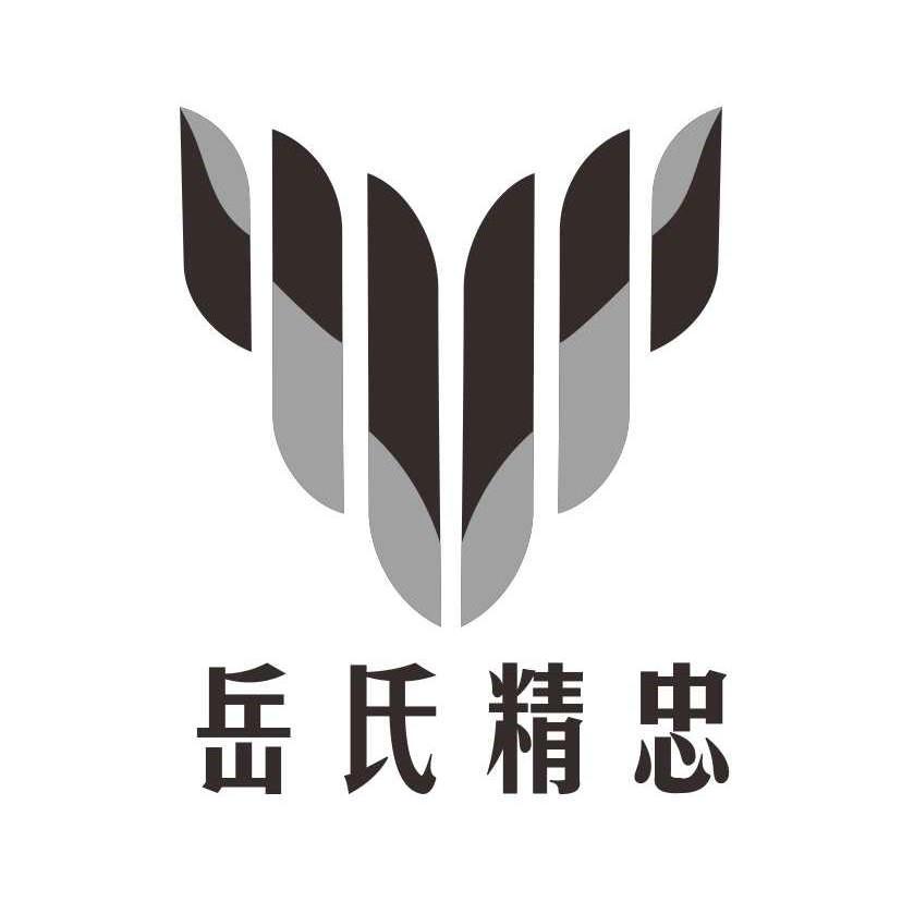 河南省岳氏精忠科技有限公司