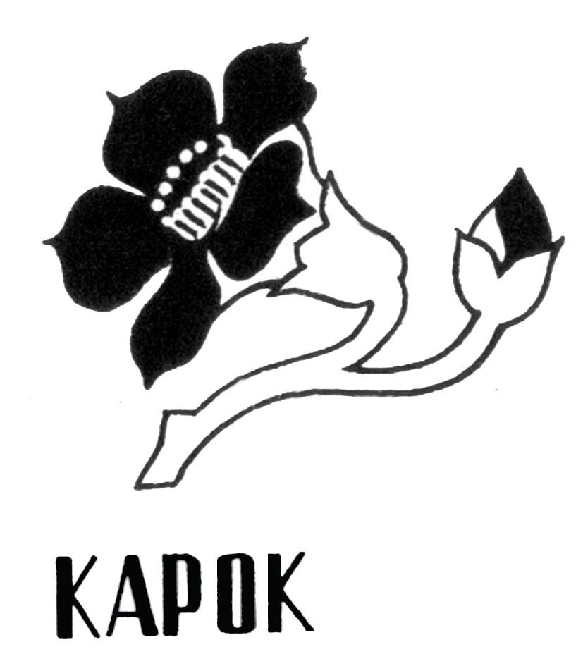 kapok