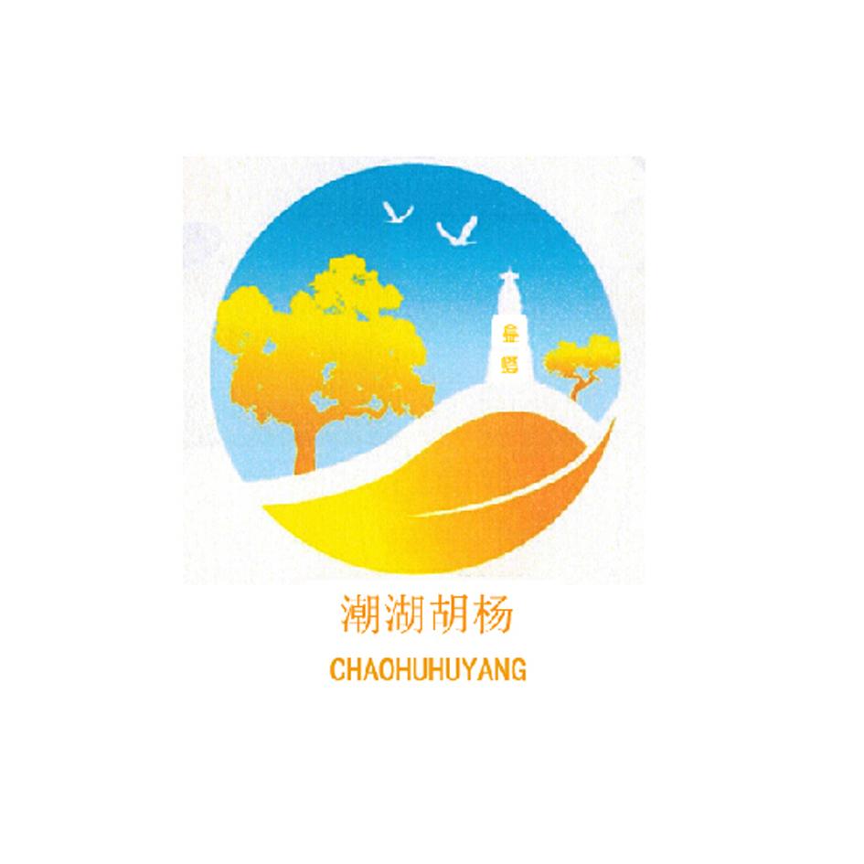 酒泉金塔胡杨文化旅游发展有限公司