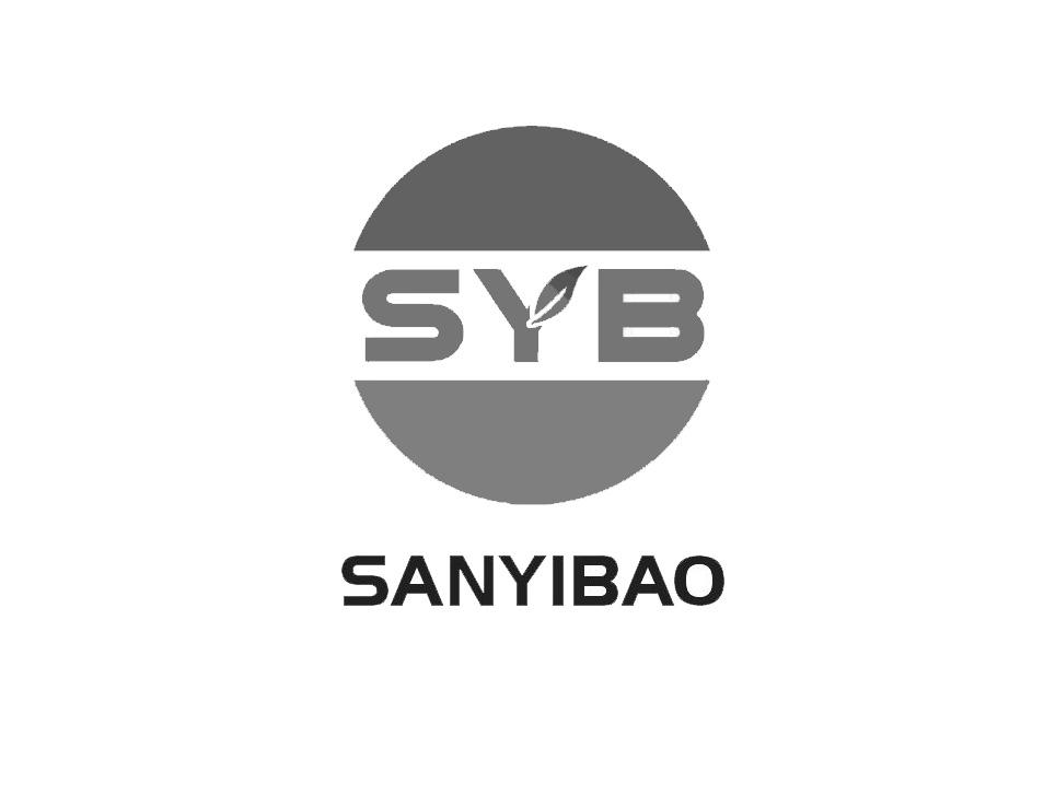 sanyibao syb