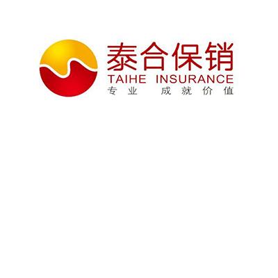 泰合保销 专业成就价值 taihe insurance