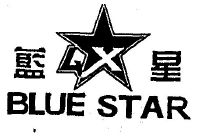 蓝星   BLUE STAR