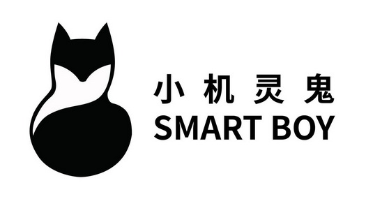 小机灵鬼 smart boy