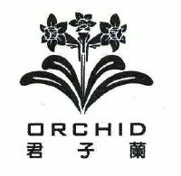 君子兰;orchid