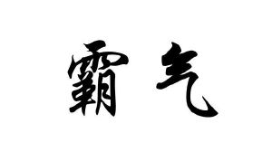 福建省霸气拉链科技有限公司