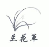 兰花草_注册号4295833_商标注册查询 - 天眼查