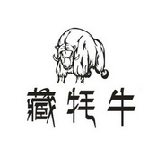 藏牦牛